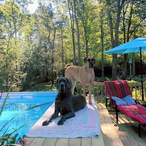 Meet your Posher, Jill